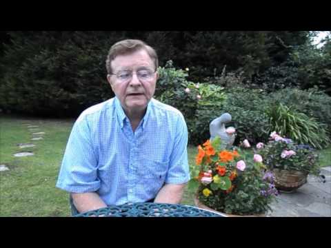 Speak English Fast video.