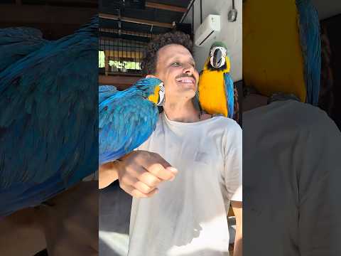 O Novo Integrante da Família Blue Chegou 💙💙💙