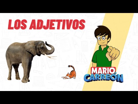 Los Adjetivos