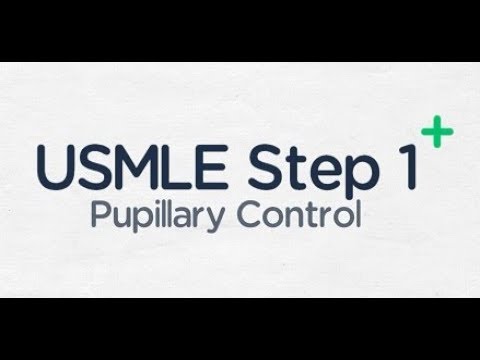 USMLE Step 1: Pupillary Control and Horners Syndrome