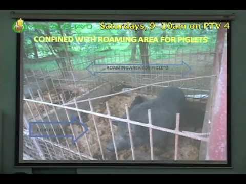 Ang pinaka-matagumpay na proyekto ng pagkawala ng timbang Kung paano alisin ang lahat ng subcutaneous taba