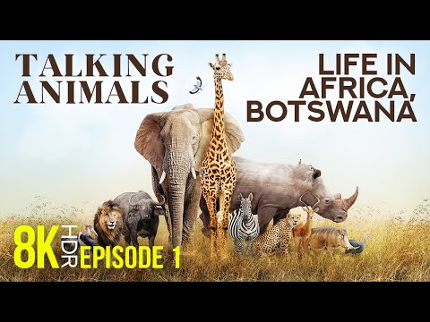 Animals Talking about Life in Africa, Botswana - 8K HDR Narrated Educational Film  - Part 1