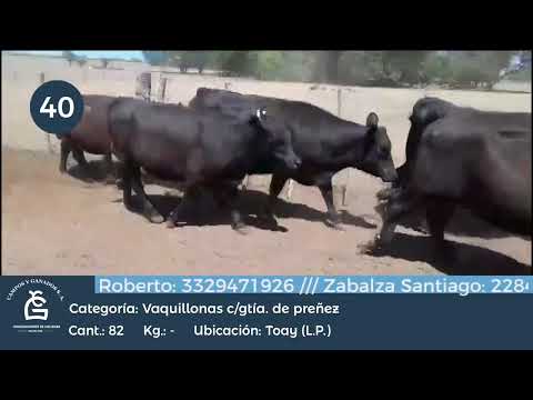 Lote VQ CGP - Toay La Pampa