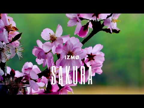 [FREE] Central Cee X Ziak Type Beat "SAKURA" | Melodic Drill