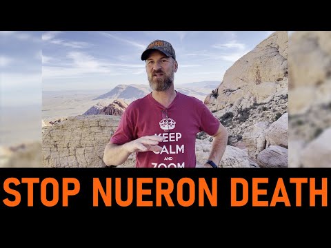 Why is Brain Derived Neurotrophic Factor so important? (BDNF)