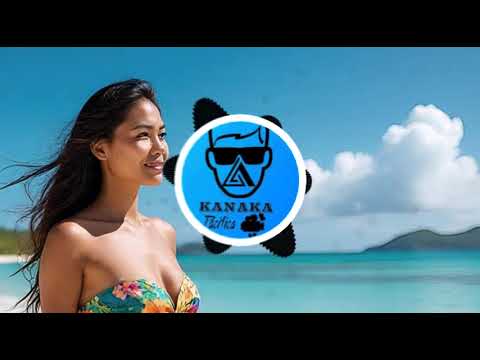 Truc De Fou | DJ Joker Afrochill Remix