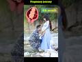 Pregnancy Journey Month Wise Thoda Tujh Jaisa Hoga Viralreels