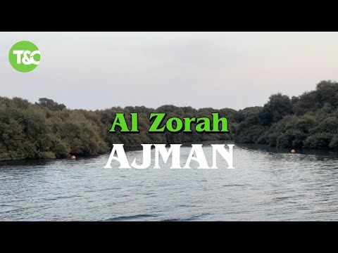 Exploring Al Zorah Ajman | Hidden Gem of UAE with Stunning Mangroves & River Views