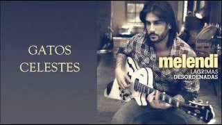 Melendi  Gatos celestes