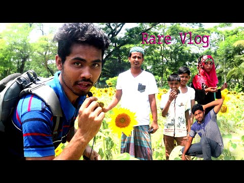 MUSAPUR SEA BEACH AND SUNFLOWER GARDEN NOAKHALI
