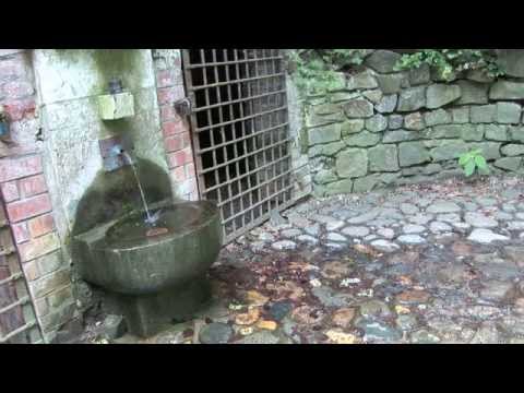 Hidden Prague Sights: Stag Moat