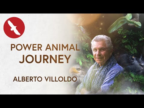 Power Animal Journey