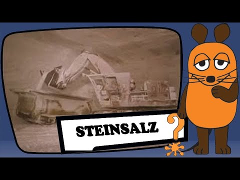 Besuch in einem Salzbergwerk
