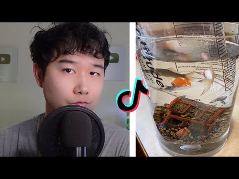 Fishtok