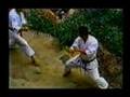 Bunkai Do Tekki Sandan