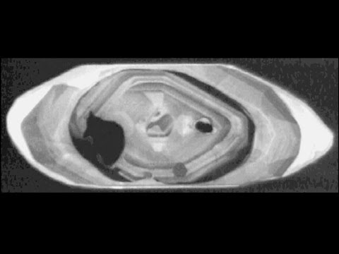 Science Bulletins: Zircons—Time Capsules from the Early Earth