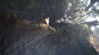 [閒聊] 魔物獵人世界MOD－荒野4K畫質體驗版