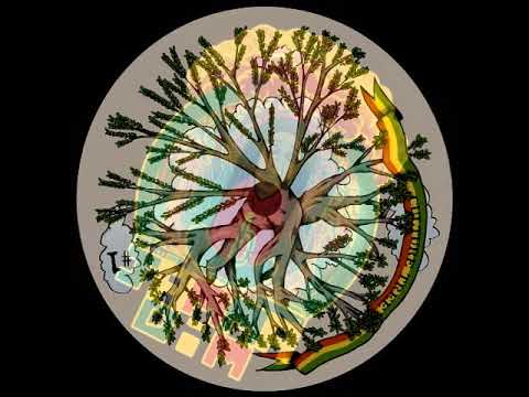 JAMMA DIM & MIGHTY PATCH meet DUBCREATOR - Ubuntu / Ubuntu Dub - 10" Face A