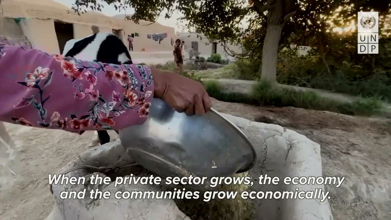 Part 3: Private sector mapping, Interview with Mr. Rahmdil 5 Apr 2026