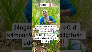 Download lagu m4lu s3nd!r! l!4t yang b3g! tu4n❗ mp3 Download lagu m4lu s3nd!r! l!4t yang b3g! tu4n❗ mp3