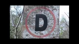 CHUMBAWAMBA: This Wood