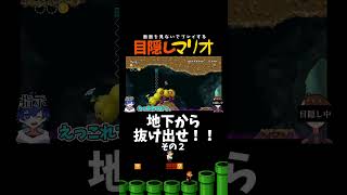 神回避&神ジャンプ【目隠しマリオ】