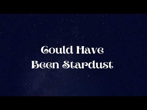 Could Have Been Stardust - Sam Shore