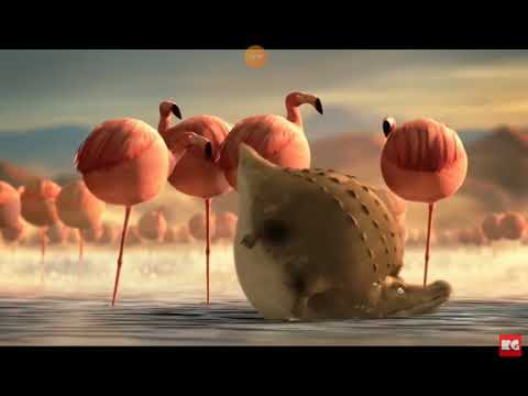 komik şişman hayvanlar