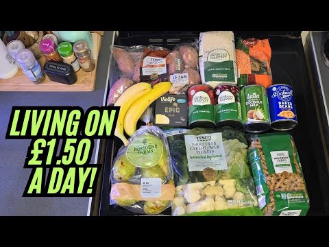 Living on £1.50 a Day for Food (Limited Budget Food Challenge)
