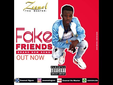Zeamat Fake Friends (Official Audio)