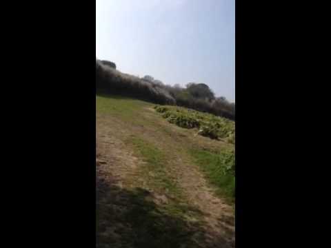 Angwinack to Ludgvan School