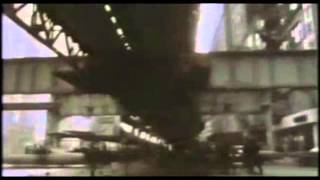 Korallreven – "Sa Sa Samoa" (Unofficial Video)