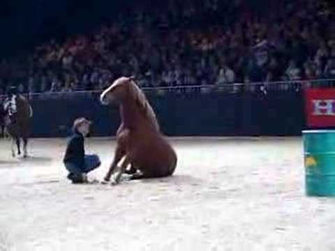 Equitana 2007 Honza Bláha excellent