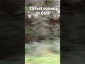Stillest scenery in Ohio #fyp #oblimmonster #shorts #cool #ohio #onlyinohio #goofyahh #ohiomeme #lol