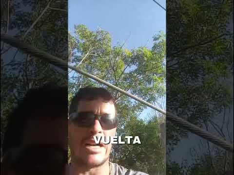 Gran poda y limpieza en zarate/campana.  buenos aires #buenosaires