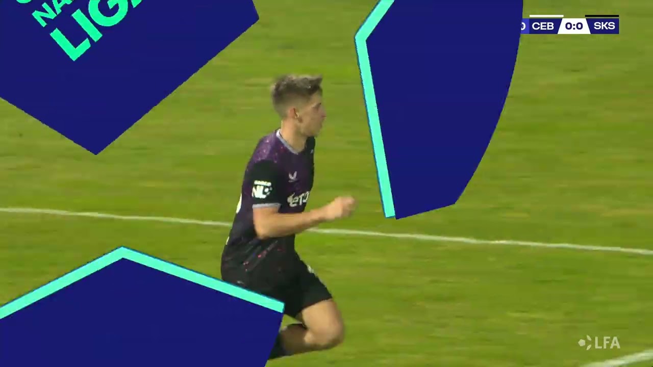 SK Dynamo České Budějovice vs SK Slavia Praha B Highlights