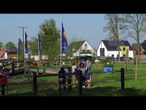 Fahrturnier Wettringen 22.4.2018