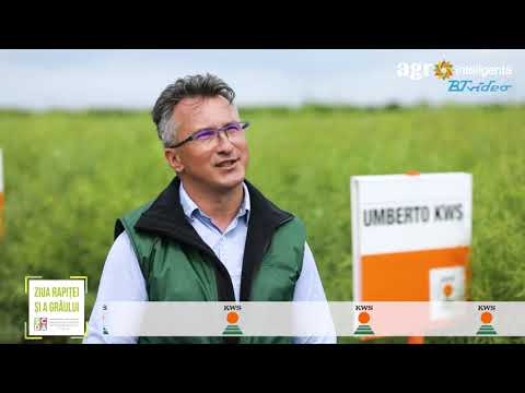 Cele patru ”chei” prin care rapița KWS asigură profitul fermierilor