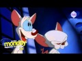 Labor Day Animaniacs Pinky The Brain Marathon Promo Hub Network