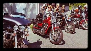 Hogs and Heroes Mission Report Ep1