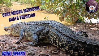 Download lagu CARA MENGUSIR BUAYA PREDATOR MENGGUNAKAN KATA-KATA / VERBAL mp3