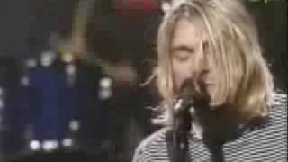 Nirvana - Son of a Gun