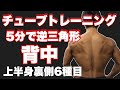 １日5分で逆三の背中作りサーキットトレーニング！！