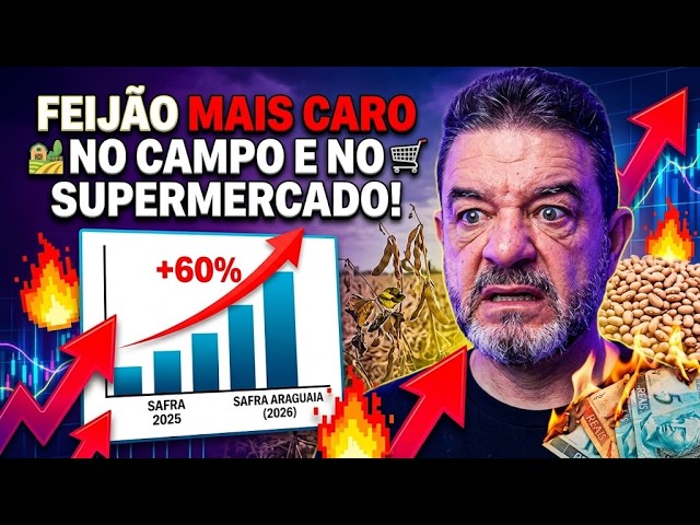 Feijão mais caro no campo e no supermercado!