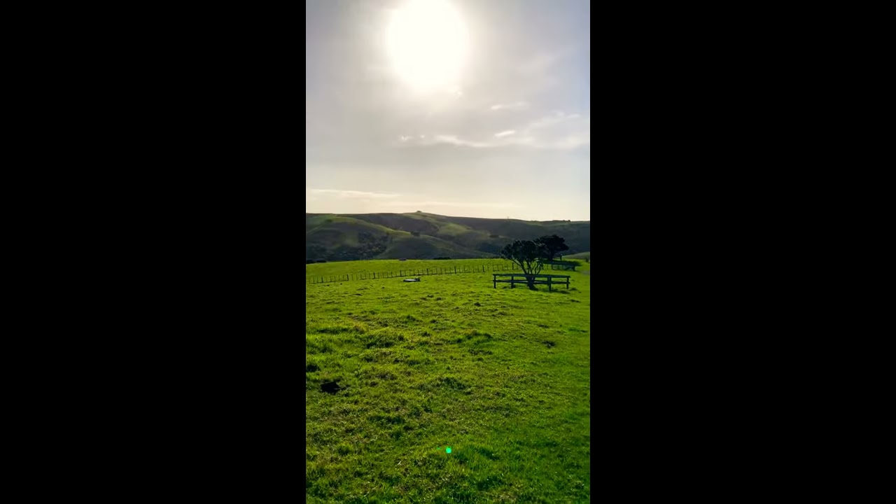 YouTube Short thumbnail