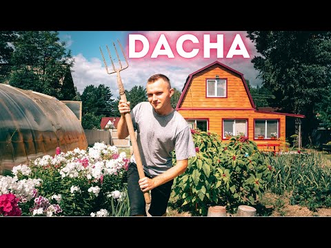 DACHA IN SIBERIA. How does it let Russians survive?