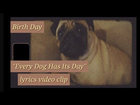 Every Dog Has Its Day - Birth Day