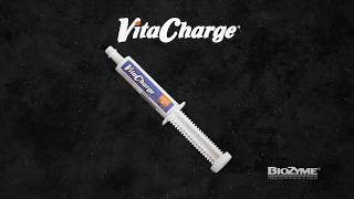 Vita Charge® Climate Control Gel