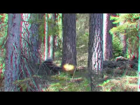 NATO’s enhanced Forward Presence Battle Group-Poland Squad situational training exercise