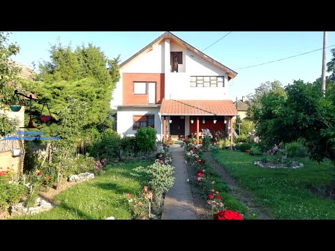 Djali i Motres erdhi ne qytet